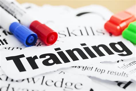 Training Check In 的图像结果