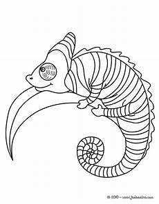 malvorlagen dragons jungle coloriage d un joli 233 l 233 on sur une branche parfait pour malvorlagen dragons jungle coloriage d un joli 233 l 233 on sur une branche parfait pour