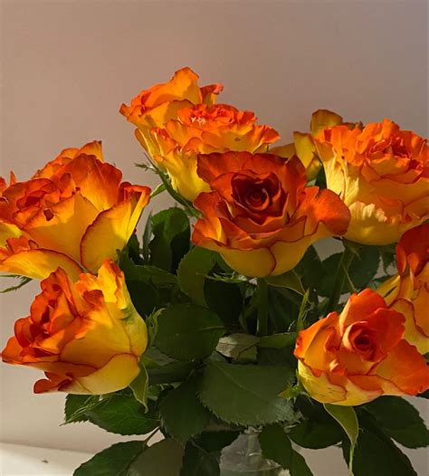 orange yellow roses | Beautiful flowers, Orange rose bouquet, Flowers