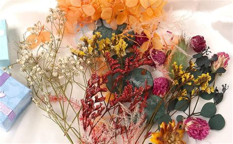 BRIGHTAIL INFRA Natural Real Dried Flowers for Art Craft Mixed Soap ...