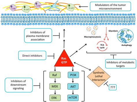 KRAS Mutant Pancreatic Cancer: No Lone Path to an Effective Treatment