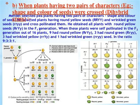 Notes of heredity and evolution - Class 10 PDF Download