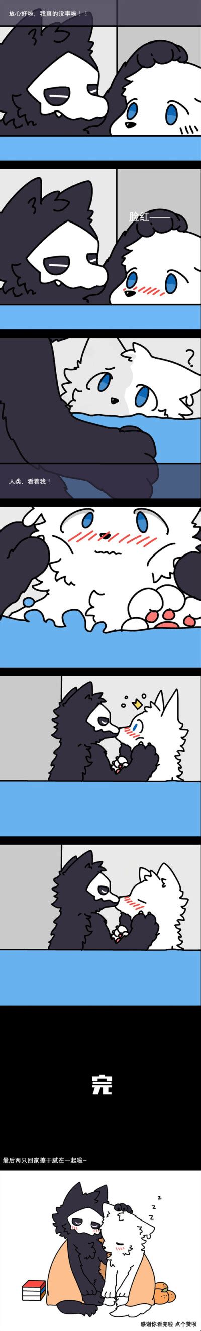 Chaned 的图像结果