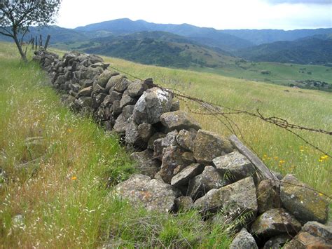 Santa Cruz Mountains Trails: A Spring Hike at Santa Teresa County Park