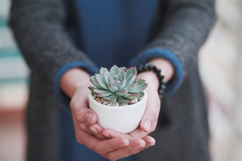 10 Eco-Friendly Gift Ideas For Earth Day (And Every Day!)