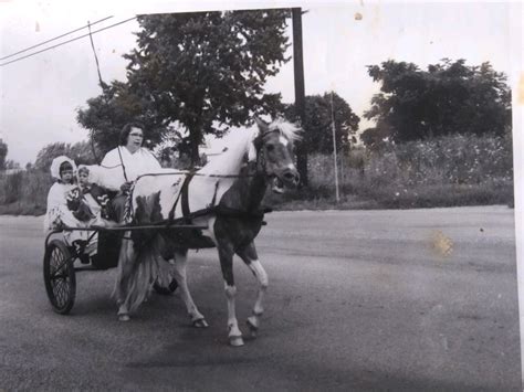 Sarah Melissa Rowell : Niagara County Obituaries