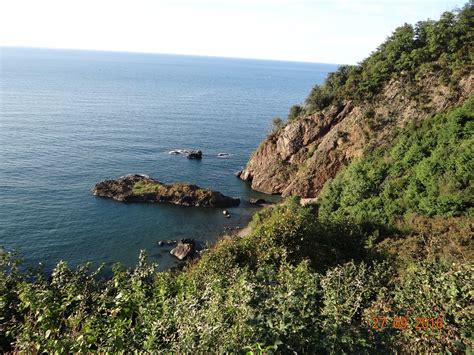 THE BEST Ordu Parks (2025) - with Reviews