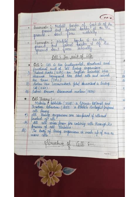 Doc Scanner 15-Jun-2024 12-04 am - santa Date Suversion Medical border ...