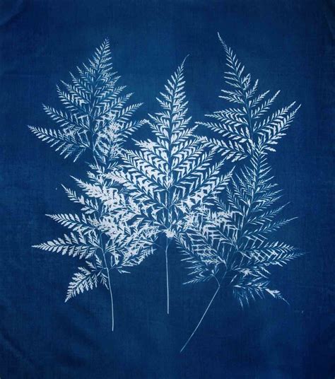 Cyanotype | Pintura en tela, Fotografia en color, Arte inspirador