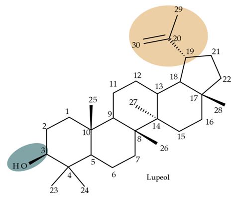 Semisynthetic Derivatives of Pentacyclic Triterpenes Bearing ...