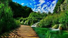 Hd Nature Wallpaper Hd For Mobile by 3d Hd Nature Wallpapers For Mobile Hd Nature Wallpaper Hd For Mobile