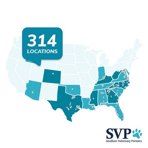 Veterinary Hospital Network Digital Marketing Case Study | Google Ads & PPC