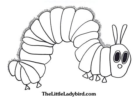 Caterpillar Printable Coloring Pages