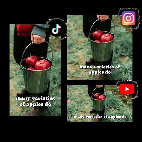 Sora AI — Sora 2 Video Generator with Synced Audio