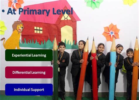 Affiliation & Curriculum