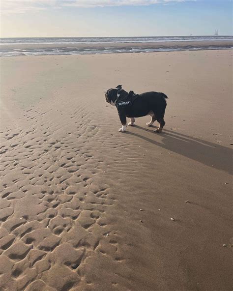 Alfie Riley Onlyfans