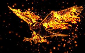 Image result for Bird with Fire Background HD
