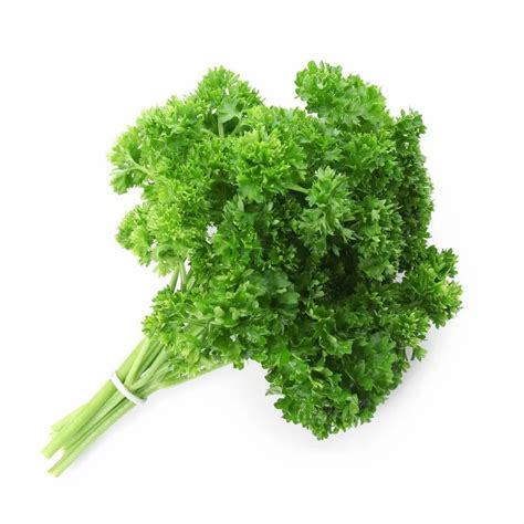 How to Use Fresh Curled Parsley 的图像结果