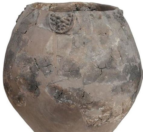 中国考古学家在古墓中发现一个装有鸡蛋的千年陶罐 （图片） - 2019年3月28日, 俄罗斯卫星通讯社
