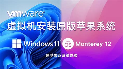 零基础完整2022最新VMware安装macOS Monterey官方原版系统Windows11环境下VMware Workstation 16 Pro虚拟机黑苹果双系统安装