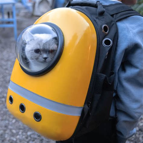 Backpack To Put Cat In Sale Online | www.cumberland.org
