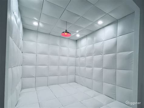 Padded Cell Mental Hospital