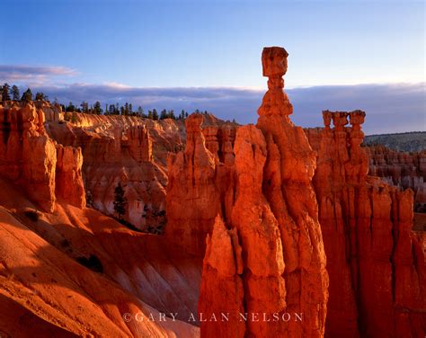 Hoodoos | Bryce Canyon National Park, Utah | Gary Alan Nelson Photography