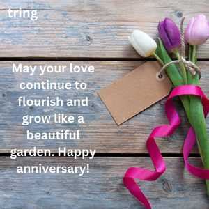 95+ Special Wedding Anniversary Wishes For Brother And Bhabhi