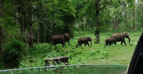 Kerala Dayz (Kochi (Cochin)) - All You Need to Know BEFORE You Go