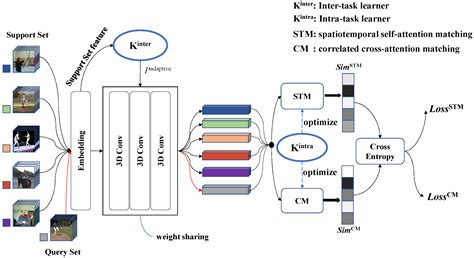 HiTIM: Hierarchical Task Information Mining for Few-Shot Action Recognition
