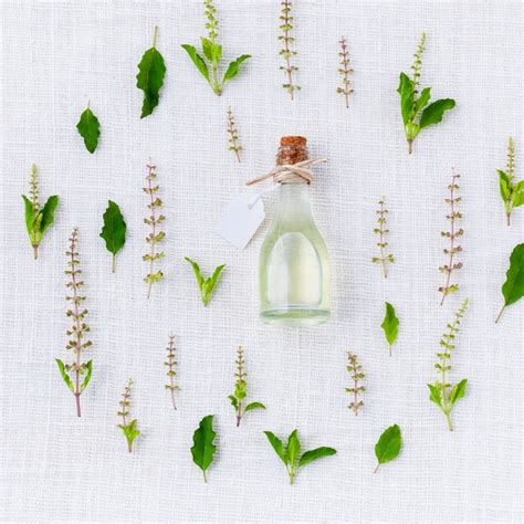 Ayurvedic Medicine Manufacturers In Surat | Care Botanical