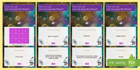 Cell Organelles Quick Quiz
