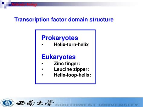 Eukaryotic transcription factors fall into two categories. Which factors must always be present as t
