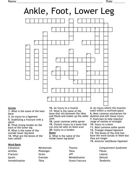 Physical Therapist Crossword - WordMint