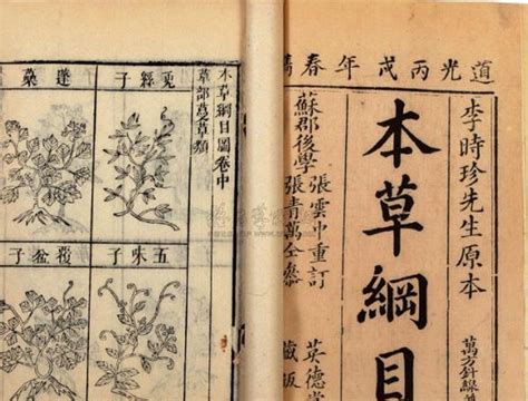 五一上新《本草纲目》 《典籍里的中国》穿越400多年为先贤李时珍圆梦_深圳新闻网