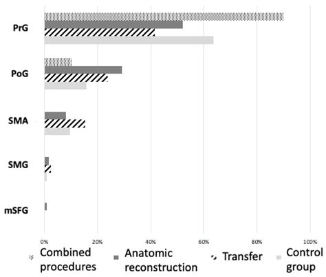 Mapping Motor Neuroplasticity after Successful Surgical Brachial Plexus ...