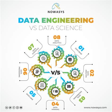 Image result for Data Engineering vs Data Science