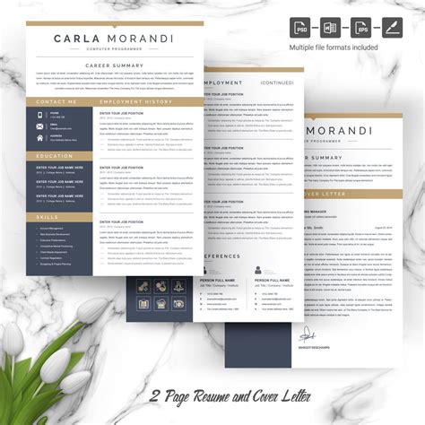 Computer Programmer Resume 的图像结果