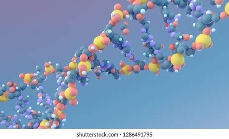 Image result for DNA Build