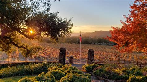 Best Sonoma County Wineries - Local Getaways