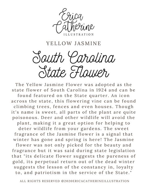 South Carolina State Flower Map Vinyl Sticker – Erica Catherine