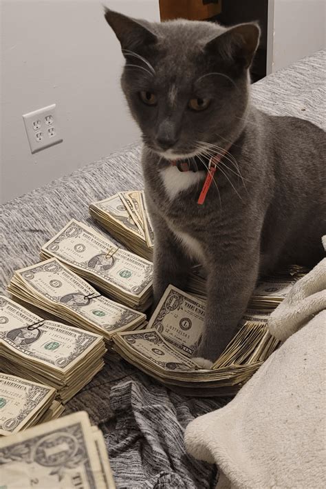 strippers dating men : r/stripper