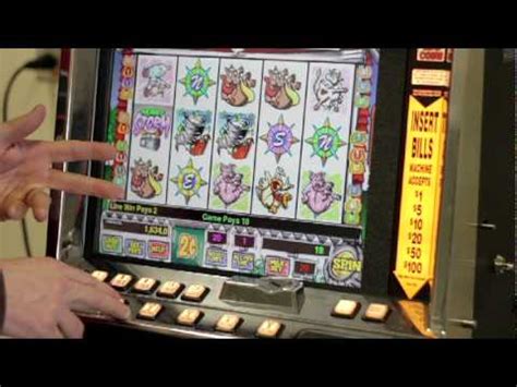 slotswinner video tutorials