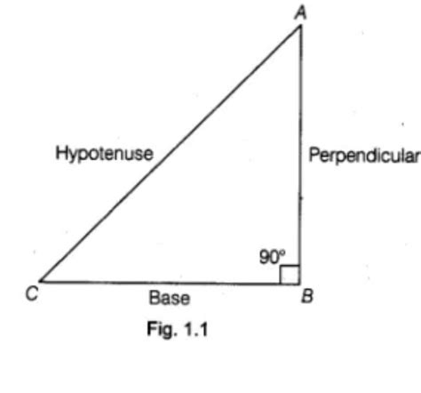 Construct the square root spiral - Brainly.in