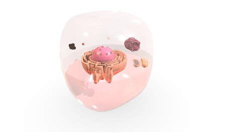 Cell Model 的图像结果