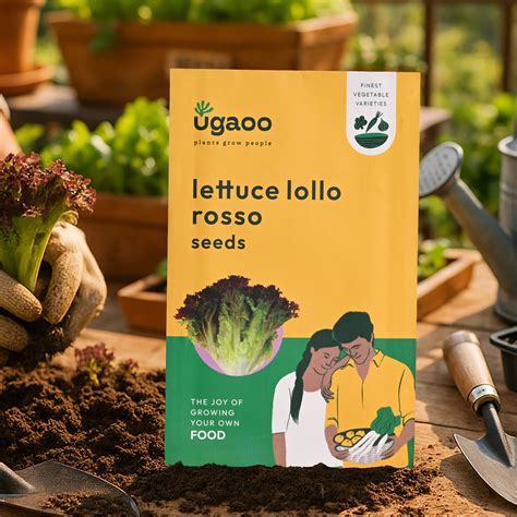 Lettuce Lollo Rosso Seeds – Ugaoo