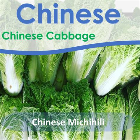 Chinese cabbage seeds: Michihili - BAREFOOT INTERNATIONAL LTD