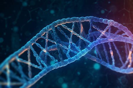 基因图片 的图像结果