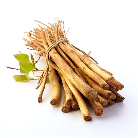 Premium AI Image | Variety of Nature Yellow Dock Root Type of Herb ...