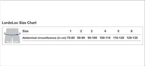 Bauerfeind LordoLoc, Color: Titan, Lumbar/Back Support – Maxwell India